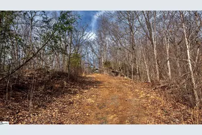 146 Glassy Falls Trail, Travelers Rest, SC 29690 - Photo 22
