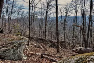 146 Glassy Falls Trail, Travelers Rest, SC 29690 - Photo 32