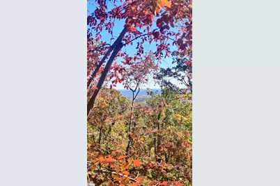 146 Glassy Falls Trail, Travelers Rest, SC 29690 - Photo 50