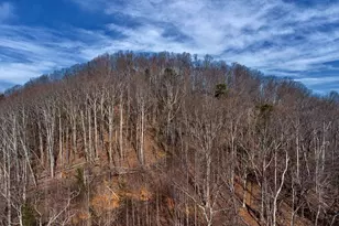 146 Glassy Falls Trail, Travelers Rest, SC 29690 - Photo 22