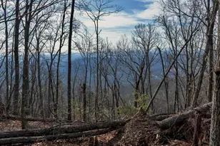 146 Glassy Falls Trail, Travelers Rest, SC 29690 - Photo 18