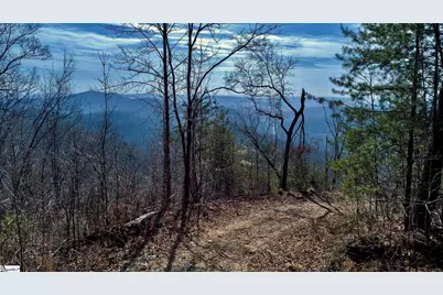 146 Glassy Falls Trail, Travelers Rest, SC 29690 - Photo 20
