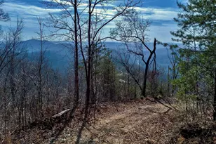 146 Glassy Falls Trail, Travelers Rest, SC 29690 - Photo 20