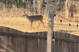 5 Chestnut Hill Pl, Simpsonville, SC 29680 - Photo 32
