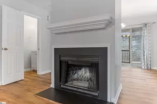 116 Brushy Hollow Ln, Greer, SC 29650 - Photo 14