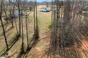 303 Horse Creek Rd, Chesnee, SC 29323 - Photo 36