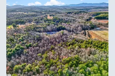 00 Cribbs Way, Easley, SC 29640 - Photo 16