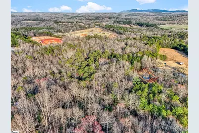 00 Cribbs Way, Easley, SC 29640 - Photo 10