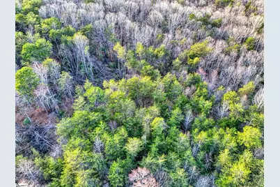 00 Cribbs Way, Easley, SC 29640 - Photo 4