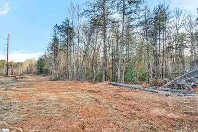 00 Cribbs Way, Easley, SC 29640 - Photo 2