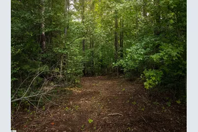 00 Pinedale Road, Liberty, SC 29657 - Photo 8