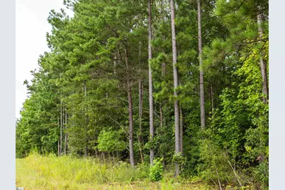 00 Pinedale Road, Liberty, SC 29657 - Photo 10