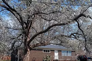 11 El Paso Dr, Greenville, SC 29617 - Photo 40