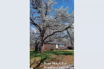 11 El Paso Drive, Greenville, SC 29617 - Photo 42