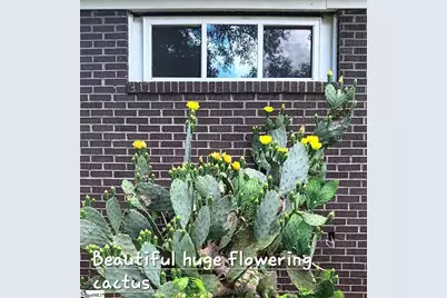 11 El Paso Drive, Greenville, SC 29617 - Photo 38