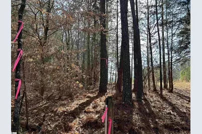 0000 Old Goldmine Road, Troy, SC 29848 - Photo 14