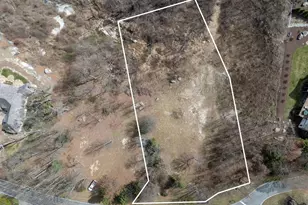 99 The Cliffs Pkwy, Landrum, SC 29356 - Photo 8