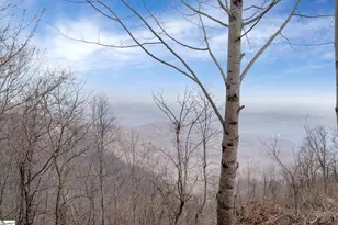 99 The Cliffs Pkwy, Landrum, SC 29356 - Photo 4