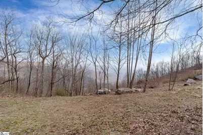 97 The Cliffs Parkway, Landrum, SC 29356 - Photo 6