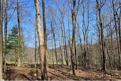 66 The Cliffs Parkway, Landrum, SC 29356 - Photo 8