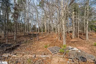 109 Quiet Way, Anderson, SC 29626 - Photo 42