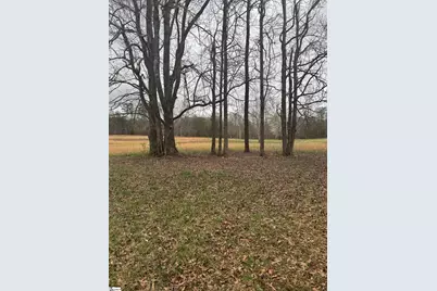 4320 N Blue Ridge Drive, Taylors, SC 29687 - Photo 2