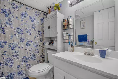 220 Blueberry Trail, Pickens, SC 29671 - Photo 30