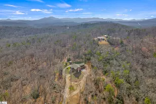 220 Blueberry Trl, Pickens, SC 29671 - Photo 44