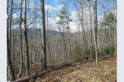 Belvoir Drive #Lots 31 and 32, Pickens, SC 29671 - Photo 12