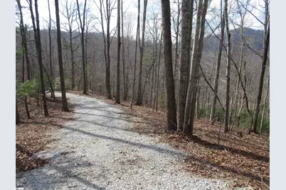 Belvoir Drive #Lots 31 and 32, Pickens, SC 29671 - Photo 10