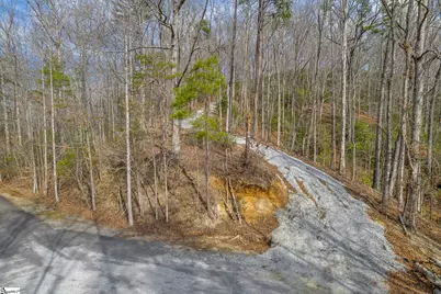 Belvoir Drive #Lots 31 and 32, Pickens, SC 29671 - Photo 32