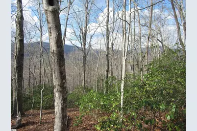 Belvoir Drive #Lots 31 and 32, Pickens, SC 29671 - Photo 18