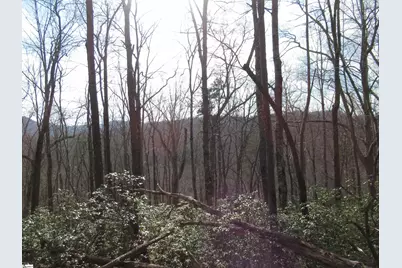 Belvoir Drive #Lots 31 and 32, Pickens, SC 29671 - Photo 20