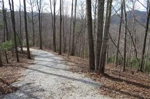 Belvoir Dr, Pickens, SC 29671 - Photo 1