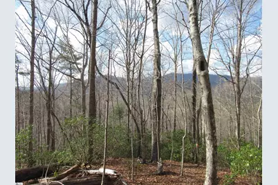 Belvoir Drive #Lots 31 and 32, Pickens, SC 29671 - Photo 4