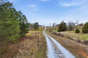 3206 252 Hwy, Laurens, SC 29360 - Photo 6