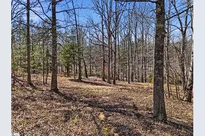 3206 252 Highway, Laurens, SC 29360 - Photo 44