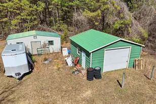 3206 252 Hwy, Laurens, SC 29360 - Photo 36