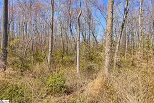727 Wayfinder Run, Inman, SC 29349 - Photo 30