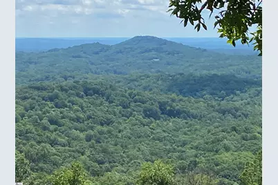 1671 Hogback Mountain Road, Tryon, NC 28782 - Photo 6