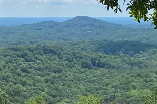 1671 Hogback Mountain Rd, Tryon, NC 28782 - Photo 6