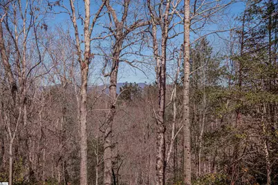 450 Crestwood Drive, Salem, SC 29676 - Photo 14