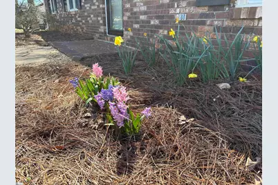 340 Ferndale Drive, Spartanburg, SC 29316 - Photo 38