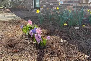 340 Ferndale Dr, Boiling Springs, SC 29316 - Photo 38