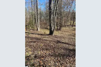 0 Tomachichi Road, Cross Hill, SC 29332 - Photo 1