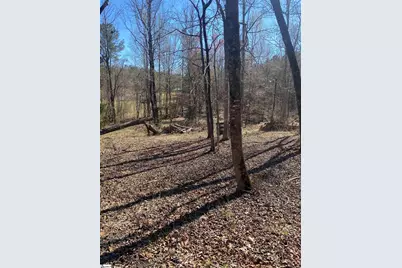 0 Tomachichi Road, Cross Hill, SC 29332 - Photo 6