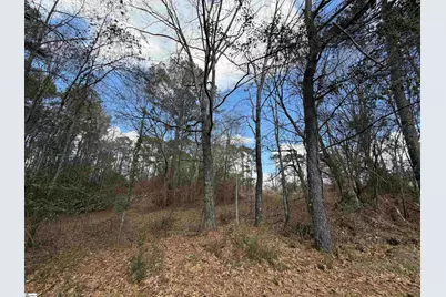 6 Horton Drive, Abbeville, SC 29620 - Photo 4