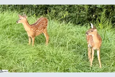 119 Marshfield Trail, Simpsonville, SC 29680 - Photo 44