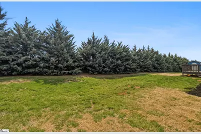 306 Elyan Court, Taylors, SC 29687 - Photo 30