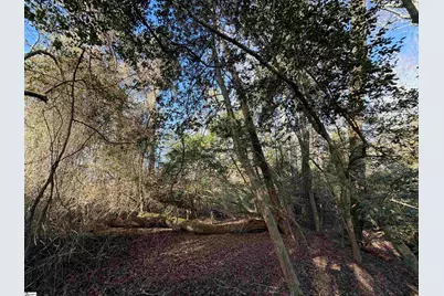 4525 Babb Road, Greer, SC 29651 - Photo 30